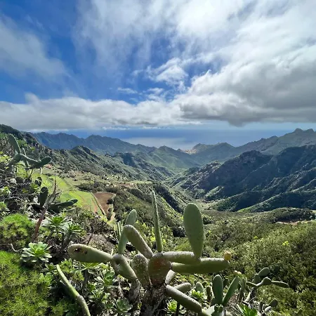 Picachos, Poris De Abona * Santa-Cruz de Ténérife