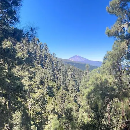 Picachos, Poris De Abona Appartement