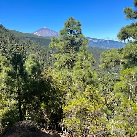 Picachos, Poris De Abona * Santa-Cruz de Ténérife