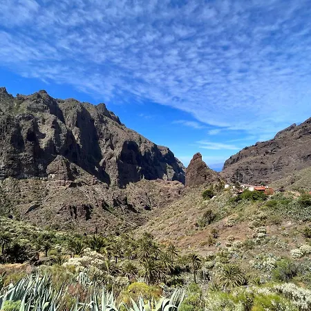 Picachos, Poris De Abona Santa-Cruz de Ténérife